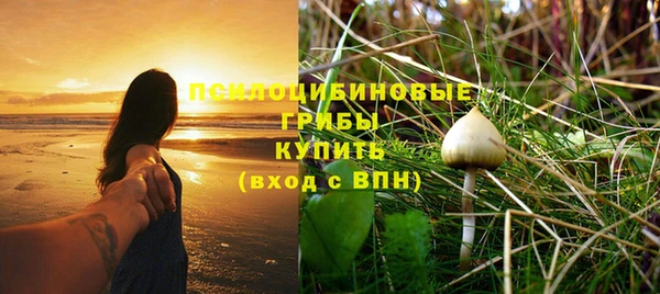 прущие крисы Пересвет