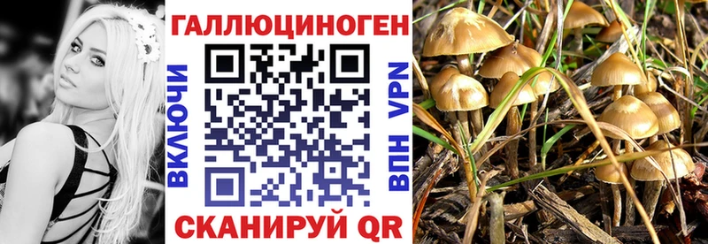 Галлюциногенные грибы Psilocybe как найти закладки Ворсма
